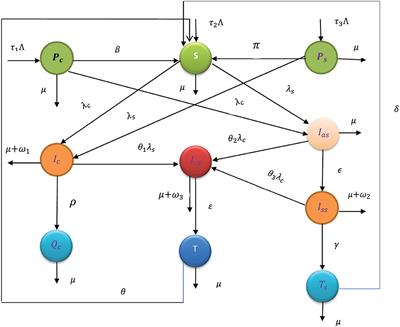 COVID-19 and syphilis co-dynamic analysis using mathematical modeling approach